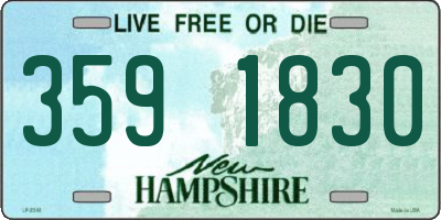 NH license plate 3591830