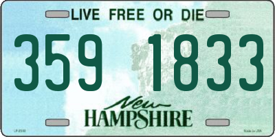 NH license plate 3591833