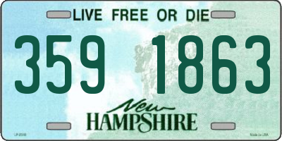NH license plate 3591863