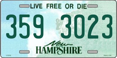 NH license plate 3593023