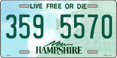 NH license plate 3595570