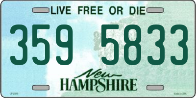 NH license plate 3595833
