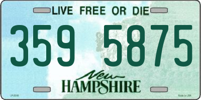 NH license plate 3595875