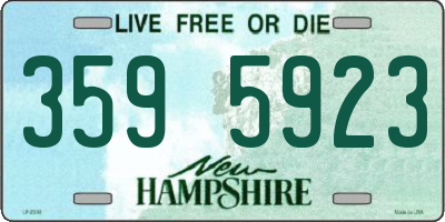 NH license plate 3595923