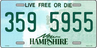 NH license plate 3595955