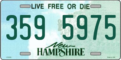 NH license plate 3595975