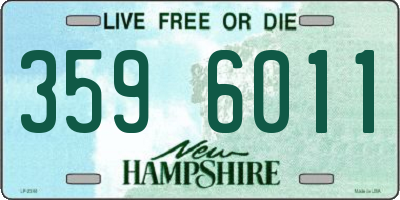 NH license plate 3596011
