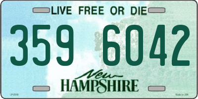 NH license plate 3596042