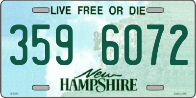 NH license plate 3596072