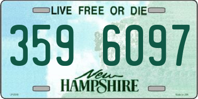 NH license plate 3596097