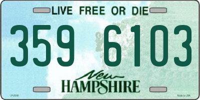 NH license plate 3596103
