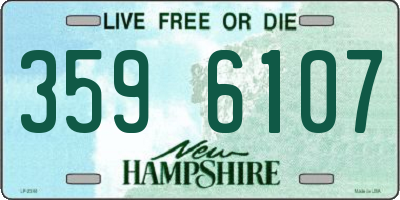 NH license plate 3596107