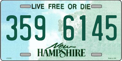NH license plate 3596145