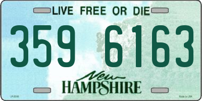 NH license plate 3596163