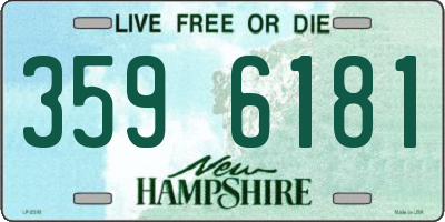 NH license plate 3596181