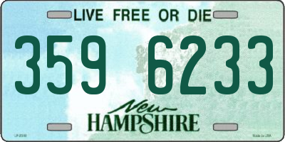 NH license plate 3596233