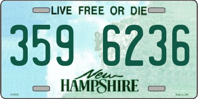 NH license plate 3596236