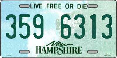 NH license plate 3596313
