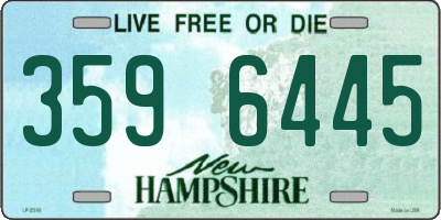 NH license plate 3596445