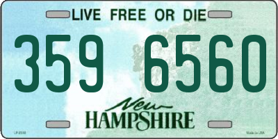 NH license plate 3596560