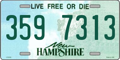 NH license plate 3597313