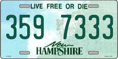 NH license plate 3597333