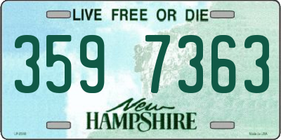 NH license plate 3597363