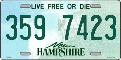 NH license plate 3597423