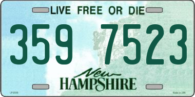 NH license plate 3597523