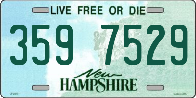 NH license plate 3597529