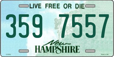 NH license plate 3597557