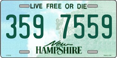 NH license plate 3597559