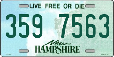 NH license plate 3597563