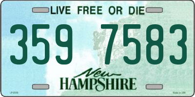 NH license plate 3597583
