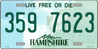 NH license plate 3597623