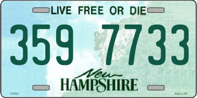 NH license plate 3597733