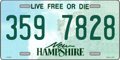 NH license plate 3597828