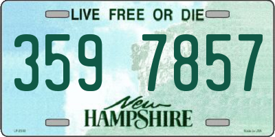 NH license plate 3597857