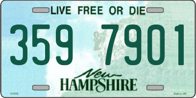 NH license plate 3597901