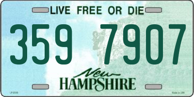 NH license plate 3597907
