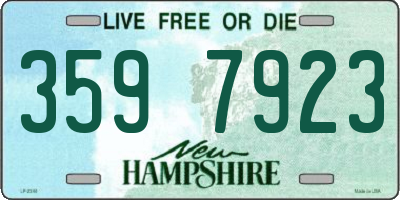 NH license plate 3597923