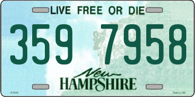 NH license plate 3597958