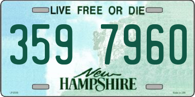 NH license plate 3597960