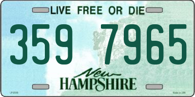 NH license plate 3597965