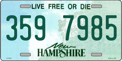 NH license plate 3597985