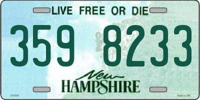 NH license plate 3598233