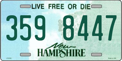 NH license plate 3598447