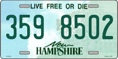 NH license plate 3598502