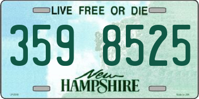 NH license plate 3598525