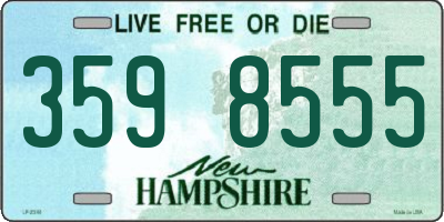 NH license plate 3598555